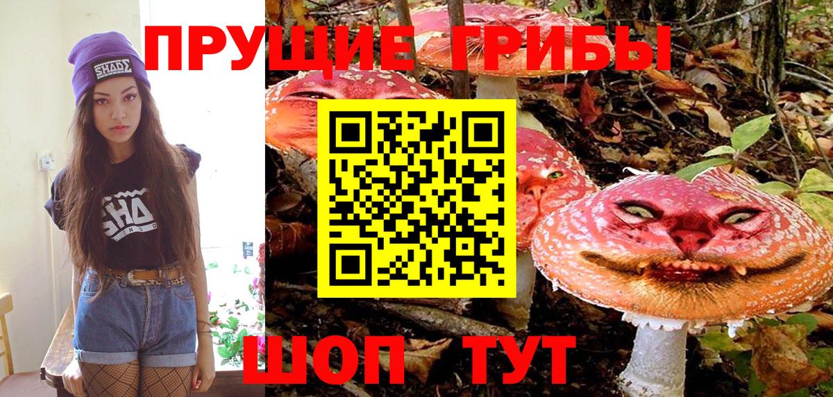 Можга  Псилоцибиновые грибы MAGIC MUSHROOMS  Псилоцибиновые грибы Magic Shrooms  Вход с VPN 